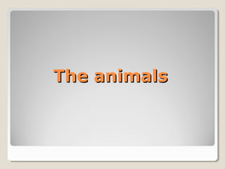 The animalsThe animals
 