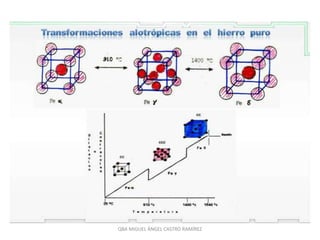 QBA MIGUEL ÁNGEL CASTRO RAMÍREZ
 
