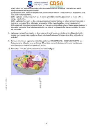 2
( ) No interior das artérias existem válvulas que impedem o retorno do sangue, uma vez que o refluxo
sanguíneo é realizado sob alta pressão.
( ) Tecido conjuntivo, muscular e epitelial são observados em artérias e veias, todavia, o tecido muscular é
mais exuberante nas artérias.
( ) Os capilares, constituídos por um tipo de tecido epitelial ( o endotélio), possibilitam as trocas entre o
sangue e os tecidos.
( ) Os capilares diferenciam-se das veias quanto as quantidades relativas de colágeno (maior nas veias) e
quanto ao número de fibras elásticas e camadas de células musculares lisas (menor nos capilares).
( ) Impulsionado pelos batimentos cardíacos, as veias sofrem distensão e pulsam. Graças a essa pulsação e
ao grande número de fibras elásticas existentes nas veias, o sangue pode fluir das extremidades do corpo
até o coração.
8. Após as primeiras diferenciações no desenvolvimento embrionário, o embrião contém 3 tipos de tecido
ectoderma, mesoderma e endoderma. Quais estruturas finais estes folhetos embrionários originarão no
embrião?
9. Para um determinado organismo multicelular, os termos CRESCIMENTO e DESENVOLVIMENTO são
frequentemente utilizados como sinônimos. Diferencie crescimento de desenvolvimento, citando quais
eventos celulares caracterizam estes dois termos.
10. Preencha o nome das estruturas celulares indicadas na figura:
1: 8:
2: 9:
3: 10:
4: 11:
5: 12:
6: 13:
7:
 