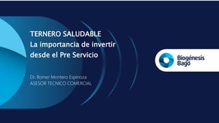 TERNERO SALUDABLE
La importancia de invertir
desde el Pre Servicio
Dr. Romer Montero Espinoza
ASESOR TECNICO COMERCIAL
 