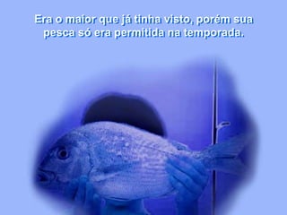Era o maior que já tinha visto, porém sua
pesca só era permitida na temporada.
 
