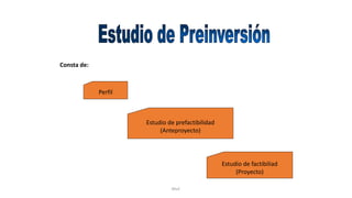Rhvf.
Consta de:
Perfil
Estudio de prefactibilidad
(Anteproyecto)
Estudio de factibiliad
(Proyecto)
 