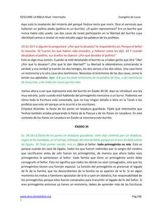 DESCUBRE LA BIBLIA-Nivel Intermedio Evangelio de Lucas
www.descubrelabiblia.org Pág.246
|
Aquí está la revelación del misterio del porqué Yeshúa tenía que morir. Dice el versículo que
hallarían un pollino atado (pollino es un burrito). ¿A quién representará? Era un burrito que
nunca había sido usado. Las dos casas de Israel participarán en la libertad del burrito cuya
identidad vamos a revelar en este estudio según las palabras de los profetas.
19:31-33 Y si alguien os preguntare: ¿Por qué lo desatáis? le responderéis así: Porque el Señor
lo necesita. 32 Fueron los que habían sido enviados, y hallaron como les dijo. 33 Y cuando
desataban el pollino, sus dueños les dijeron: ¿Por qué desatáis el pollino?
Esto es algo muy común. Cuando se esté desatando el burrito va a haber gente que dirá “¡No!
¿Por qué lo desatan? ¿Por qué le dan libertad?” La libertad la obtendremos conociendo la
verdad; y esa verdad la traerán los dos testigos, los dos siervos o los dos olivos. Una casa tiene
un testimonio y la otra casa otro testimonio. Necesitas el testimonio de las dos casas, como lo
tenían sus apóstoles. Apo. 1:2 que ha dado testimonio de la palabra de Dios, y del testimonio
de Jesucristo, y de todas las cosas que ha visto.
Vamos ahora a ver que representa esto del burrito en Éxodo 34:18. Aquí se introduce una ley
muy extraña; justo cuando está hablando del primogénito menciona a un burro. Podemos ver
cómo toda la Escritura está conectada, que no hay ningún detalle o letra en la Torah o los
profetas que este ahí porque se le ocurrió a los escritores.
Empieza diciendo: la fiesta de los panes sin levadura guardarás. Fíjate qué interesante que
Yeshúa también estaba preparando la fiesta de la Pascua y de los Panes sin Levadura. En este
contexto de los Panes sin Levadura en Éxodo se menciona este burrito.
ÉXODO 34
Ex. 34:18 La fiesta de los panes sin levadura guardarás; siete días comerás pan sin levadura,
según te he mandado, en el tiempo señalado del mes de Abib; porque en el mes de Abib saliste
de Egipto. 19 Todo primer nacido, mío es; (dice el Señor: todo primogénito es mío. Esto es
porque cuando los sacó de Egipto, todos los que fueron redimidos por la sangre del cordero
que sacrificaron antes de salir fueron los primogénitos, de manera que ahora todos esos
primogénitos le pertenecen al Señor. Cada familia que tiene un primogénito varón debe
consagrarlo al Señor. Esto no significa que todos los demás no sean consagrados, sino que los
primogénitos tienen una función especial. La función del primogénito es preservar el legado
de fe de la familia, que los descendientes de la familia no se aparten de la fe. Si en algún
momento los nietos o familiares apostatan de la fe y caen en idolatría, fue responsabilidad de
los primogénitos porque ellos fueron comprados para transmitir el legado de fe del Señor. Si
eres primogénito entonces ya tienes un ministerio, debes de aprender más de las Escrituras
 