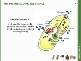©AreteonPteLtd
3ANTIMICROBIAL DRUG RESISTANCE
Antimicrobial drugs need to
enter the bacterium to be able
to kill the bacterium or stop it
from replicating
Mode of action #1
 