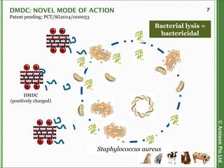 ©AreteonPteLtd
7DMDC: NOVEL MODE OF ACTION
Patent pending; PCT/SG2014/000053
Staphylococcus aureus
DMDC
(positively charged)
Bacterial lysis =
bactericidal
 