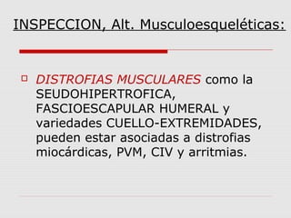 INSPECCION, Alt. Musculoesqueléticas:
 DISTROFIAS MUSCULARES como la
SEUDOHIPERTROFICA,
FASCIOESCAPULAR HUMERAL y
variedades CUELLO-EXTREMIDADES,
pueden estar asociadas a distrofias
miocárdicas, PVM, CIV y arritmias.
 