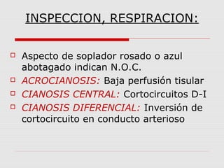 INSPECCION, RESPIRACION:
 Aspecto de soplador rosado o azul
abotagado indican N.O.C.
 ACROCIANOSIS: Baja perfusión tisular
 CIANOSIS CENTRAL: Cortocircuitos D-I
 CIANOSIS DIFERENCIAL: Inversión de
cortocircuito en conducto arterioso
 