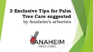 3 Exclusive Tips for Palm
Tree Care suggested
by Anaheim’s arborists
 