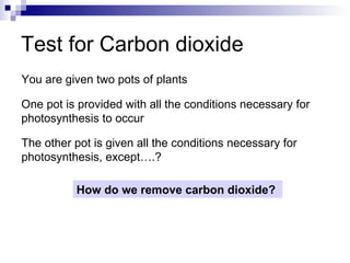 Test for Carbon dioxide You are given two pots of plants One pot is provided with all the conditions necessary for photosynthesis to occur The other pot is given all the conditions necessary for photosynthesis, except….? How do we remove carbon dioxide? 