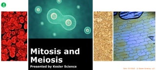 Vers. 07/2020 © Kesler Science, LLC
Mitosis and
Meiosis
Presented by Kesler Science
 