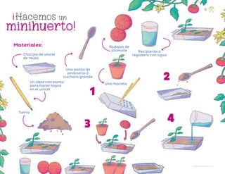 Hacemos un
minihuerto!
!
Un lápiz con punta
para hacer hoyos
en el unicel
Una palita de
jardinería o
cuchara grande
Tierra
Rodajas de
jitomate Recipiente o
regadera con agua
Una maceta
Charola de unicel
de reúso
1
2
3 4
Alexander Felipe Hernández Flores, puebla
22
Materiales:
F2_PREES_3º_Fungible.indb 22
F2_PREES_3º_Fungible.indb 22 09/07/24 11:55
09/07/24 11:55
 