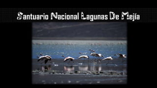 Santuario Nacional Lagunas de Mejía
 