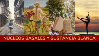 NÚCLEOS BASALES Y SUSTANCIA BLANCA
 