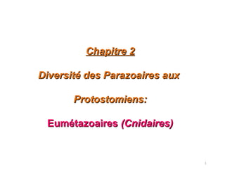 1
Chapitre 2Chapitre 2
Diversité des Parazoaires auxDiversité des Parazoaires aux
Protostomiens:Protostomiens:
EumétazoairesEumétazoaires (Cnidaires)(Cnidaires)
 