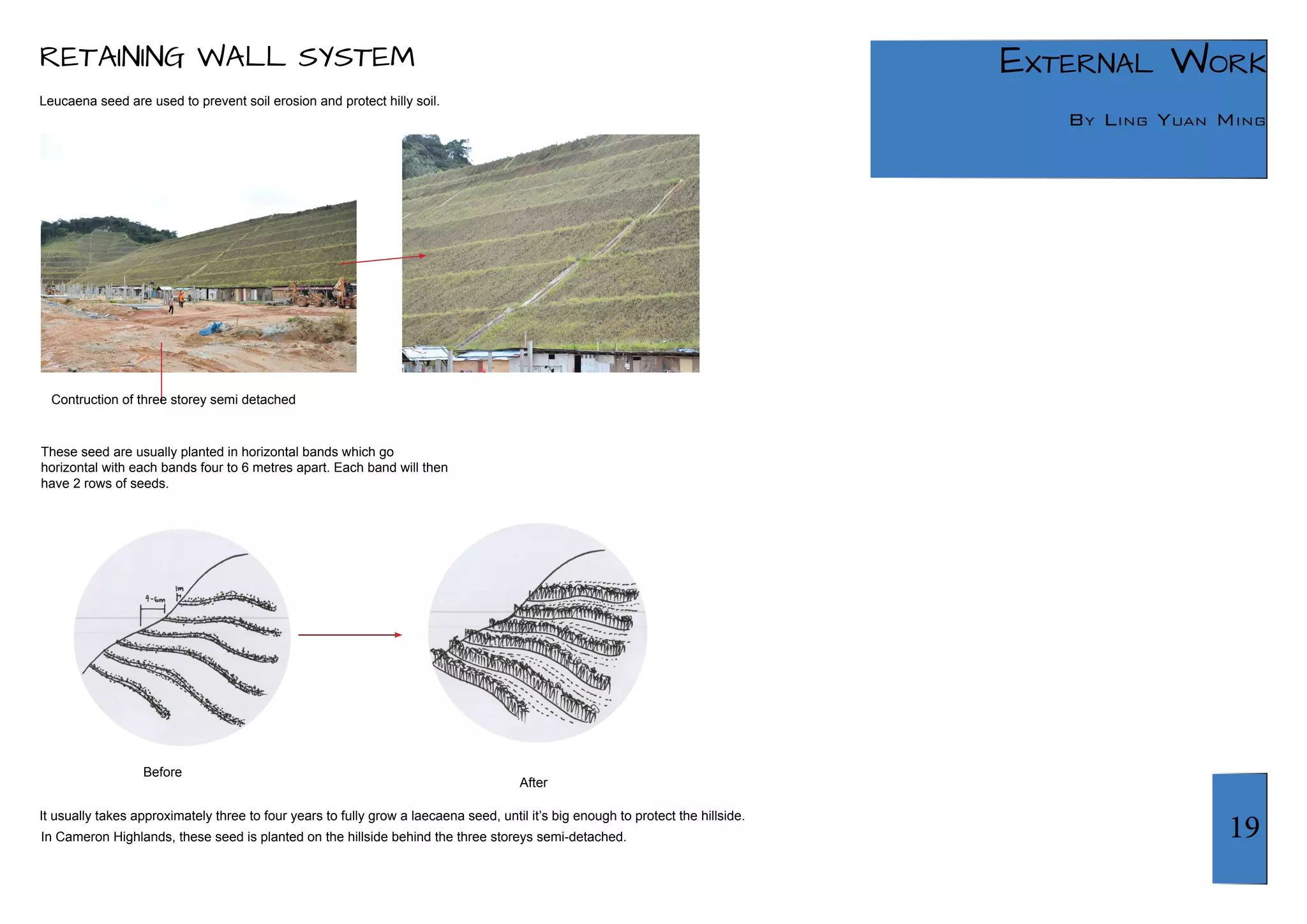 19 
External Work 
By Ling Yuan Ming 
RETAINING WALL SYSTEM 
Leucaena seed are used to prevent soil erosion and protect hilly soil. 
It usually takes approximately three to four years to fully grow a laecaena seed, until it’s big enough to protect the hillside. 
In Cameron Highlands, these seed is planted on the hillside behind the three storeys semi-detached. 
Contruction of three storey semi detached 
Before 
After 
These seed are usually planted in horizontal bands which go 
horizontal with each bands four to 6 metres apart. Each band will then 
have 2 rows of seeds. 

