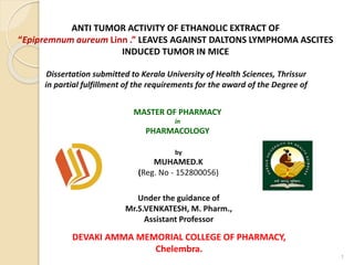 DEVAKI AMMA MEMORIAL COLLEGE OF PHARMACY,
Chelembra.
ANTI TUMOR ACTIVITY OF ETHANOLIC EXTRACT OF
“Epipremnum aureum Linn .” LEAVES AGAINST DALTONS LYMPHOMA ASCITES
INDUCED TUMOR IN MICE
Dissertation submitted to Kerala University of Health Sciences, Thrissur
in partial fulfillment of the requirements for the award of the Degree of
MASTER OF PHARMACY
in
PHARMACOLOGY
by
MUHAMED.K
(Reg. No - 152800056)
Under the guidance of
Mr.S.VENKATESH, M. Pharm.,
Assistant Professor
1
 