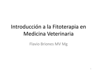 Introducción a la Fitoterapia en 
Medicina Veterinaria 
Flavio Briones MV Mg 
1 
 