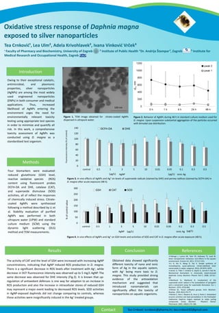 ReferencesConclusion
Owing to their exceptional catalytic,
antimicrobial, and plasmonic
properties, silver nanoparticles
(AgNPs) are among the most widely
used engineered nanoparticles
(ENPs) in both consumer and medical
applications. Thus, increased
likelihood of AgNPs entering the
environment urges the need for
environmentally relevant toxicity
testing using appropriate test species
in order to minimize and quantify all
risk. In this work, a comprehensive
toxicity assessment of AgNPs was
conducted using D. magna as a
standardized test organism.
Introduction
Methods
Results
Obtained data showed significantly
different toxicity of nano and ionic
form of Ag in the aquatic system,
with Ag+ being more toxic to D.
magna. This study provided strong
evidence of the antioxidation
mechanism and suggested that
introduced nanomaterials can
significantly affect the toxicity of
nanoparticles on aquatic organisms.
Four biomarkers were evaluated:
reduced glutathione (GSH) level,
reactive oxidative species (ROS)
content using fluorescent probes
DCFH-DA and DHE, catalase (CAT),
and superoxide dismutase (SOD)
activities, all of reflect the responses
of chemically induced stress. Citrate-
coated AgNPs were synthesized
following a method described by Li et
al. Stability evaluation of purified
AgNPs was performed in both
ultrapure water (UPW) and standard
culture medium (SCM) using the
dynamic light scattering (DLS)
method and TEM measurements.
Oxidative stress response of Daphnia magna
exposed to silver nanoparticles
Tea Crnkovid¹, Lea Ulm², Adela Krivohlavek², Ivana Vinkovid Vrček³
¹ Faculty of Pharmacy and Biochemistry, University of Zagreb ² Institute of Public Health “Dr. Andrija Štampar”, Zagreb ³ Institute for
Medical Research and Occupational Health, Zagreb
Contact Tea Crnković: tcrnkovic@pharma.hr; tea.crnkovic92@gmail.com
Fabrega J, Luoma SN, Tyler CR, Galloway TS, Lead JR.
Silver nanoparticles: behaviour and effects in the aquatic
environment. Environ Int. 2011; 37:517–531.
Li H, Xia H, Wang D, Tao X. Simple synthesis of
monodisperse, quasi-spherical, citrate-stabilized silver
nanocrystals in water. Langmuir. 2013; 29:5074−5079.
Jemec A, Tišler T, Drobne D, Sepčić K, Jamnik P, Roš M.
Biochemical biomarkers in chronically metal-stressed
daphnids. Comp. Biochem. Physiol. Part C. 2008; 147:61–
68.
Marklund SL, Marklund G. Involvement of the
superoxide anion radical in the autoxidation of pyrogallol
and a convenient assay for superoxide dismutase. Eur. J.
Biochem. 1974; 47(3):469.
Ellman GL. Tissue sulfhydryl groups. Arch. Biochem.
Biophys. 1959; 82(1):70–77.
Barata C, Varo I, Navarro JC, Arun S, Porte C. Antioxidant
enzyme activities and lipid peroxidation in the freshwater
cladoceran Daphnia magna exposed to redox cycling
compounds. Comp. Biochem. Physiol.C Toxicol.
Pharmacol. 2005; 140(2):175–186.
The activity of CAT and the level of GSH were increased with increasing AgNP
concentrations, indicating that AgNP induced ROS production in D. magna.
There is a significant decrease in ROS levels after treatment with Ag+, while
decrease in DCF fluorescence intensity was observed up to 5 mg/L AgNP. The
same decrease was observed for DHE intensity (Fig.3). It is known that up-
regulation of antioxidant defenses is one way for adaption to an increase in
ROS production and also the increase in intracellular stores of reduced GSH
may represent a major event leading to decreased ROS levels. SOD activities
in AgNP-exposed daphnids did not change comparing to controls, whereas
these activities were insignificantly induced in the Ag+ treated groups.
Figure 3. In vivo effects of AgNPs and Ag⁺ on levels of superoxide radicals (stained by DHE) and peroxy radilcas (stained by DCFH-DA) in
D. magna after acute exposure (48 h).
0
50
100
150
200
250
300
control 0.5 1 3 5 10 0.01 0.05 0.1 0.3 0.5
AgNP ionic Ag
%ofcontrolvalue
GSH CAT SOD
(μg/L) (μg/L)
0
20
40
60
80
100
120
140
control 0.5 1 3 5 10 0.01 0.05 0.1 0.3 0.5
AgNP ionic Ag
Fluorescenceintensity(%ofcontrol)
DCFH-DA DHE
(μg/L)(μg/L)
Figure 2. Behavior of AgNPs during 48 h in standard culture medium used for
D. magna. Upon suspension substantial aggregation of the particles occurred
with bimodal size distribution.
Figure 1. TEM image obtained for citrate-coated AgNPs
dispersed in ultrapure water.
100 nm
Figure 4. In vivo effects of AgNPs and Ag⁺ on GSH levels and activities of SOD and CAT in D. magna after acute exposure (48 h).
 