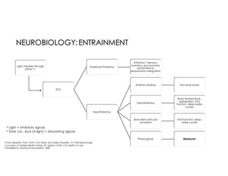 SCN
Forebrain/Thalamus
Attention, memory,
emotion, psychomotor
performance,
sensorimotor integration
Hypothalamus
Anterior pituitary Hormone levels
Hypothalamus
Body temperature,
metabolism, ANS
function, sleep-wake
cycles
Brain stem reticular
formation
ANS function, sleep-
wake cycles
Pineal gland Melatonin
Light impulses through
retina a,b
Chart adapted from: Porth CM, Sleep and Sleep Disorders. In: Pathophysiology:
Concepts of Altered Health States. 8th edition. Porth CM, Matfin G, eds.
Philadelphia: Wolters Kluwer Health; 2009.
a Light = inhibitory signals
b Dark (i.e., lack of light) = stimulating signals
 