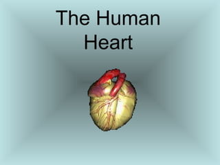 The Human
Heart
 