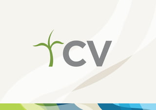 CV Airport Signage Logo Only