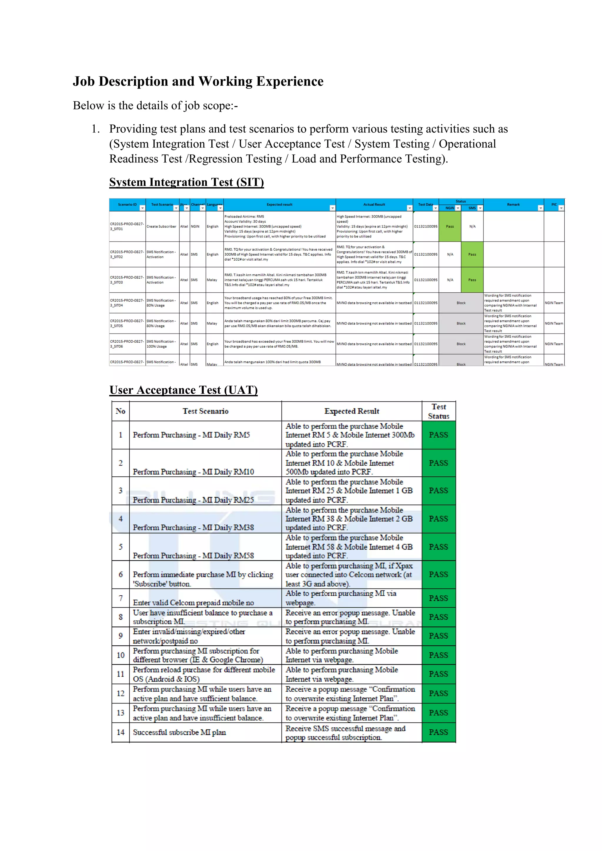 Tester Portfolio in Testing Quality Assurance MS | PDF