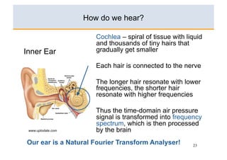 How do we hear?

                       Cochlea – spiral of tissue with liquid
                       and thousands of tiny hairs that
Inner Ear              gradually get smaller

                       Each hair is connected to the nerve

                       The longer hair resonate with lower
                       frequencies, the shorter hair
                       resonate with higher frequencies

                       Thus the time-domain air pressure
                       signal is transformed into frequency
                       spectrum, which is then processed
 www.uptodate.com      by the brain
Our ear is a Natural Fourier Transform Analyser!         23
 