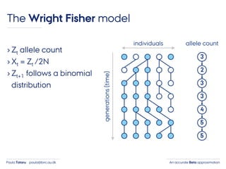 An accurate Beta approximationPaula Tataru paula@birc.au.dk
The Wright Fisher model
› Zt allele count
› Xt = Zt /2N
› Zt+1 follows a binomial
distribution
individuals
generations(time)
3
2
3
3
4
5
5
allele count
 