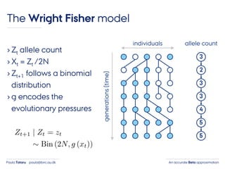 An accurate Beta approximationPaula Tataru paula@birc.au.dk
The Wright Fisher model
› Zt allele count
› Xt = Zt /2N
› Zt+1 follows a binomial
distribution
› g encodes the
evolutionary pressures
individuals
generations(time)
3
2
3
3
4
5
5
allele count
 