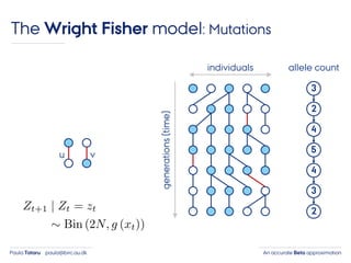 An accurate Beta approximationPaula Tataru paula@birc.au.dk
The Wright Fisher model: Mutations
individuals
generations(time)
3
2
4
5
4
3
2
allele count
u v
 