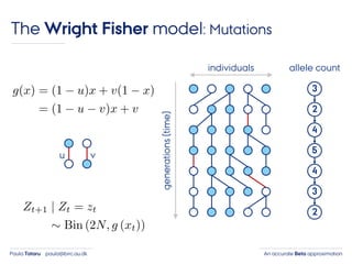 An accurate Beta approximationPaula Tataru paula@birc.au.dk
The Wright Fisher model: Mutations
individuals
generations(time)
3
2
4
5
4
3
2
allele count
u v
 