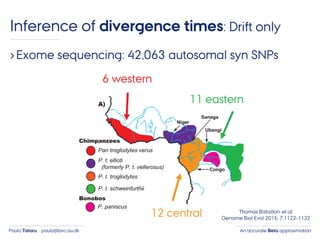 An accurate Beta approximationPaula Tataru paula@birc.au.dk
Inference of divergence times: Drift only
›Exome sequencing: 42,063 autosomal syn SNPs
6 western
12 central
11 eastern
Thomas Bataillon et al.
Genome Biol Evol 2015; 7:1122-1132
 
