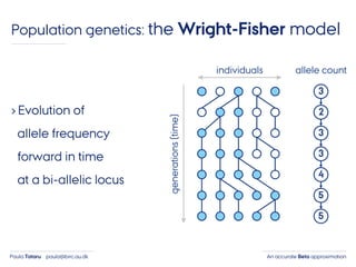 An accurate Beta approximationPaula Tataru paula@birc.au.dk
Population genetics: the Wright-Fisher model
› Evolution of
allele frequency
forward in time
at a bi-allelic locus
individuals
generations(time)
3
2
3
3
4
5
5
allele count
 