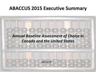 ABACCUS 2015 Executive Summary
Annual Baseline Assessment of Choice in
Canada and the United States
Contact: Nat Treadway, Managing Partner, Distributed Energy Financial Group LLC, ntreadway@defgllc.com, 713-729-6244, Twitter: @nattreadway
July 2015
 