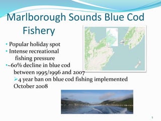 5
Marlborough Sounds Blue Cod
Fishery
• Popular holiday spot
• Intense recreational
fishing pressure
•~60% decline in blue cod
between 1995/1996 and 2007
4 year ban on blue cod fishing implemented
October 2008
 