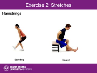 Exercise 2: Stretches
Hamstrings
Standing Seated
 