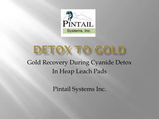 Gold Recovery During Cyanide Detox
In Heap Leach Pads
Pintail Systems Inc.
 