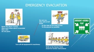 EMERGENCY EVACUATION
Raise the alarm 3 times
Stop work when alarm is sounded
Stay calm
Do not panic
Turn off all equipment & machinery
Do not run,
stay calm at all
times
In the case of fire keep as low
To the ground as possible
Walk to the Muster Point
Await for further instructions
 
