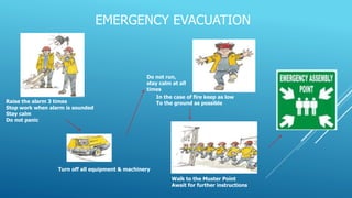 EMERGENCY EVACUATION
Where is the Main Muster Point on these
premises
Who are the first aiders; emergency
evacuation mar...