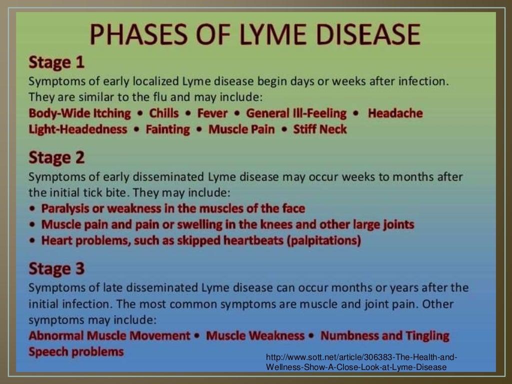 Lymes Disease