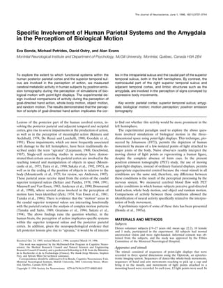 Speciﬁc Involvement of Human Parietal Systems and the Amygdala
in the Perception of Biological Motion
Eva Bonda, Michael Petrides, David Ostry, and Alan Evans
Montre´ al Neurological Institute and Department of Psychology, McGill University, Montre´ al, Que´ bec, Canada H3A 2B4
To explore the extent to which functional systems within the
human posterior parietal cortex and the superior temporal sul-
cus are involved in the perception of action, we measured
cerebral metabolic activity in human subjects by positron emis-
sion tomography during the perception of simulations of bio-
logical motion with point-light displays. The experimental de-
sign involved comparisons of activity during the perception of
goal-directed hand action, whole body motion, object motion,
and random motion. The results demonstrated that the percep-
tion of scripts of goal-directed hand action implicates the cor-
tex in the intraparietal sulcus and the caudal part of the superior
temporal sulcus, both in the left hemisphere. By contrast, the
rostrocaudal part of the right superior temporal sulcus and
adjacent temporal cortex, and limbic structures such as the
amygdala, are involved in the perception of signs conveyed by
expressive body movements.
Key words: parietal cortex; superior temporal sulcus; amyg-
dala; biological motion; motion perception; positron emission
tomography
Lesions of the posterior part of the human cerebral cortex, in-
volving the posterior parietal and adjacent temporal and occipital
cortex, give rise to severe impairments in the production of action,
as well as in the perception of meaningful action (Kimura and
Archibald, 1974; De Renzi and Lucchelli, 1988; Goodale et al.,
1991). These impairments, which are most frequently associated
with damage to the left hemisphere, have been traditionally de-
scribed under the term “apraxia” (Liepmann, 1908; Geschwind,
1967). Single-cell recording studies in monkeys have demon-
strated that certain areas in the parietal cortex are involved in the
reaching toward and manipulation of objects in space (Mount-
castle et al., 1975; Taira et al., 1990; Sakata et al., 1992, 1995), as
well as in the coding of the position of objects in relation to the
body (Mountcastle et al., 1975; for review, see Andersen, 1987).
These parietal areas receive input from the cortex of the caudal
superior temporal sulcus (Seltzer and Pandya, 1978, 1984, 1991;
Maunsell and Van Essen, 1983; Andersen et al., 1990; Boussaoud
et al., 1990), where several areas involved in the perception of
motion have been identiﬁed (Zeki, 1974; Van Essen et al., 1981;
Tanaka et al., 1986). There is evidence that the “motion” areas in
the caudal superior temporal sulcus are interacting functionally
with the parietal cortex in the analysis of complex motion patterns
(Tanaka and Saito, 1989; Graziano et al., 1994; Sakata et al.,
1994). The above ﬁndings raise the question whether, in the
human brain, the perception of action implicates speciﬁc systems
within the superior temporal sulcus and the posterior parietal
cortex. In addition, given the neuropsychological evidence that
left posterior lesions give rise to “apraxia,” it would be of interest
to ﬁnd out whether this activity would be more prominent in the
left hemisphere.
The experimental paradigm used to explore the above ques-
tions involved simulations of biological motion in the three-
dimensional space using point-light displays. This technique, pio-
neered by Johansson (1973), permits the depiction of human
movement by means of a few isolated points of light attached to
major joints of the body. Naive observers readily interpret the
moving cluster of light points as representing a human ﬁgure,
despite the complete absence of form cues. In the present
positron emission tomography (PET) study, the use of moving
point-light displays, instead of ordinary featural displays, permits
appropriate experimental control because the visual stimuli in all
conditions are the same and, therefore, any difference between
these conditions is the result of the perceptual processing by the
nervous system. We measured cerebral blood ﬂow with PET
under conditions in which human subjects perceive goal-directed
hand action, whole body motion, and object and random motion.
Comparisons of activity between these conditions allowed the
identiﬁcation of neural activity speciﬁcally related to the interpre-
tation of body movement.
A preliminary report of some of these data has been presented
(Bonda et al., 1995a).
MATERIALS AND METHODS
Subjects
Eleven volunteer subjects (19–27 years old; mean age 22.2), 10 female
and 1 male, participated in the experiment. All subjects had normal
uncorrected vision and were right-handed. Informed consent was ob-
tained from the subjects, and the study was approved by the Ethics
Committee of the Montreal Neurological Hospital.
Apparatus and stimuli
The stimuli consisted of sequences of point-light displays that were
recorded in three spatial dimensions using the Optotrak, an optoelec-
tronic imaging system. Sequences of dance-like whole-body movements,
sequences of hand and arm movements reaching to pick up a cup and
bring it to the mouth, and movements of light points attached to a
mounting board were recorded. In each case, 13 light points were used. In
Received Oct. 24, 1995; revised March 1, 1996; accepted March 19, 1996.
This work was supported by the McDonnell-Pew Program in Cognitive Neuro-
science; the Medical Research Council and Natural Sciences and Engineering
Research Council (Canada); and a predoctoral fellowship to E.B. from the Ministe`re
de la Recherche et de la Technologie (France). We thank Jorge Moreno, Stephen
Frey, and Sylvain Milot for technical assistance.
Correspondence should be addressed to Eva Bonda, Cognitive Neuroscience Unit,
Montre´al Neurological Institute, McGill University, 3801 University Street, Mont-
re´al, Que´bec, Canada H3A 2B4.
Copyright ᭧ 1996 Society for Neuroscience 0270-6474/96/163737-08$05.00/0
The Journal of Neuroscience, June 1, 1996, 16(11):3737–3744
 