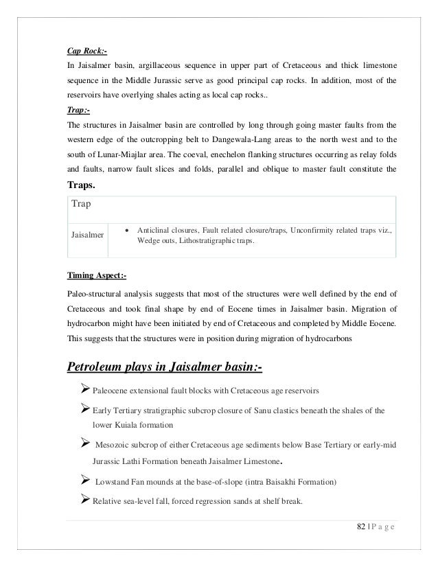 Shodhganga thesis format picture