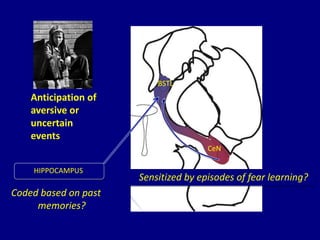 HIPPOCAMPUS
CeN
BSTL
Anticipation of
aversive or
uncertain
events
Coded based on past
memories?
Sensitized by episodes of fear learning?
 