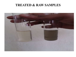 TREATED & RAW SAMPLES
 