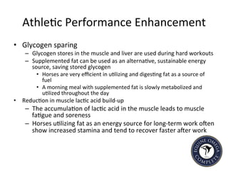 Athle5c	
  Performance	
  Enhancement	
  
•  Glycogen	
  sparing	
  
–  Glycogen	
  stores	
  in	
  the	
  muscle	
  and	
  liver	
  are	
  used	
  during	
  hard	
  workouts	
  
–  Supplemented	
  fat	
  can	
  be	
  used	
  as	
  an	
  alterna5ve,	
  sustainable	
  energy	
  
source,	
  saving	
  stored	
  glycogen	
  
•  Horses	
  are	
  very	
  eﬃcient	
  in	
  u5lizing	
  and	
  diges5ng	
  fat	
  as	
  a	
  source	
  of	
  
fuel	
  
•  A	
  morning	
  meal	
  with	
  supplemented	
  fat	
  is	
  slowly	
  metabolized	
  and	
  
u5lized	
  throughout	
  the	
  day	
  
•  Reduc5on	
  in	
  muscle	
  lac5c	
  acid	
  build-­‐up	
  
–  The	
  accumula5on	
  of	
  lac5c	
  acid	
  in	
  the	
  muscle	
  leads	
  to	
  muscle	
  
fa5gue	
  and	
  soreness	
  	
  
–  Horses	
  u5lizing	
  fat	
  as	
  an	
  energy	
  source	
  for	
  long-­‐term	
  work	
  ohen	
  
show	
  increased	
  stamina	
  and	
  tend	
  to	
  recover	
  faster	
  aher	
  work	
  	
  
 