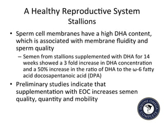 A	
  Healthy	
  Reproduc5ve	
  System	
  
Stallions	
  
•  Sperm	
  cell	
  membranes	
  have	
  a	
  high	
  DHA	
  content,	
  
which	
  is	
  associated	
  with	
  membrane	
  ﬂuidity	
  and	
  
sperm	
  quality	
  	
  
–  Semen	
  from	
  stallions	
  supplemented	
  with	
  DHA	
  for	
  14	
  
weeks	
  showed	
  a	
  3	
  fold	
  increase	
  in	
  DHA	
  concentra5on	
  
and	
  a	
  50%	
  increase	
  in	
  the	
  ra5o	
  of	
  DHA	
  to	
  the	
  ω-­‐6	
  faIy	
  
acid	
  docosapentanoic	
  acid	
  (DPA)	
  
•  Preliminary	
  studies	
  indicate	
  that	
  
supplementa5on	
  with	
  EOC	
  increases	
  semen	
  
quality,	
  quan5ty	
  and	
  mobility	
  	
  
 