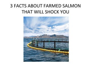 3 FACTS ABOUT FARMED SALMON
THAT WILL SHOCK YOU
 