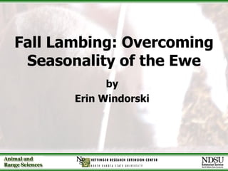 Fall Lambing: Overcoming Seasonality of the Ewe ,[object Object],[object Object]