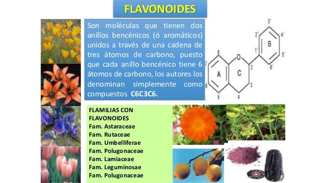 3 farmacognosia 3 farmacognosia