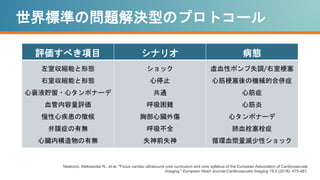 世界標準の問題解決型のプロトコール
評価すべき項目 シナリオ 病態
左室収縮能と形態
右室収縮能と形態
心嚢液貯留・心タンポナーデ
血管内容量評価
慢性心疾患の徴候
弁膜症の有無
心臓内構造物の有無
ショック
心停止
共通
呼吸困難
胸部心臓外傷
呼吸不全
失神前失神
虚血性ポンプ失調/右室梗塞
心筋梗塞後の機械的合併症
心筋症
心筋炎
心タンポナーデ
肺血栓塞栓症
循環血漿量減少性ショック
Neskovic, Aleksandar N., et al. "Focus cardiac ultrasound core curriculum and core syllabus of the European Association of Cardiovascular
Imaging." European Heart Journal-Cardiovascular Imaging 19.5 (2018): 475-481.
 